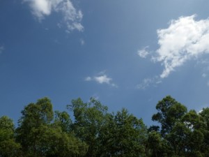 IMGP0331